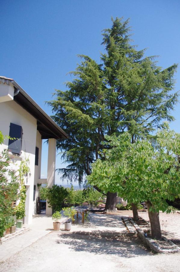Le Grand Cedre - 2 Chambres D'Hotes - Sud Ardeche Bourg-Saint-Andéol Exterior foto
